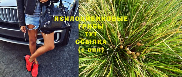 СК Аркадак