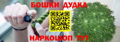 крисы Аргун