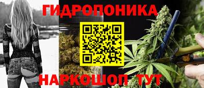 крисы Аргун