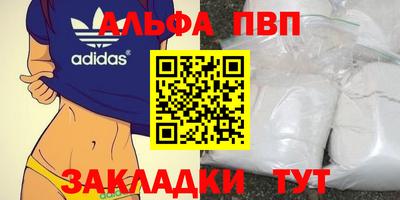 крисы Аргун
