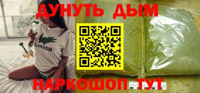 крисы Аргун
